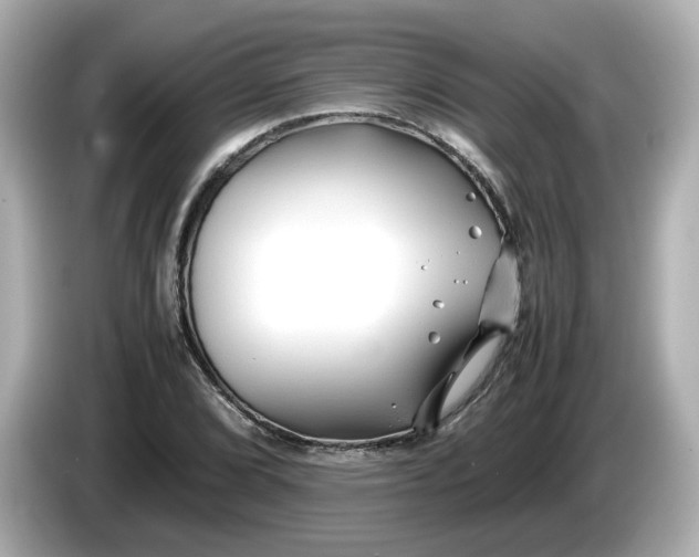 X0000086011072200704091051