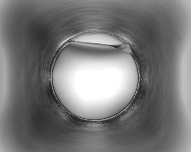 X0000086011073200704091051