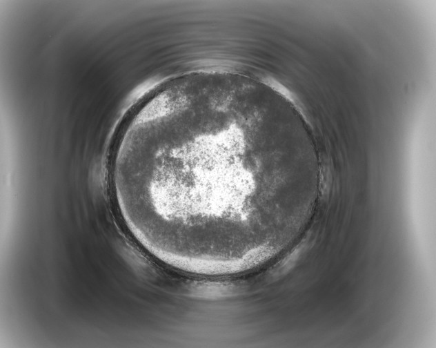 X0000086011074200704091051