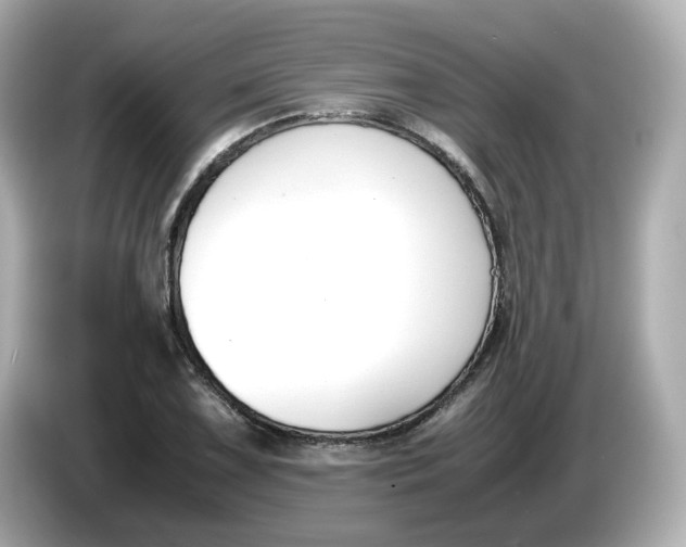 X0000086011075200704091051