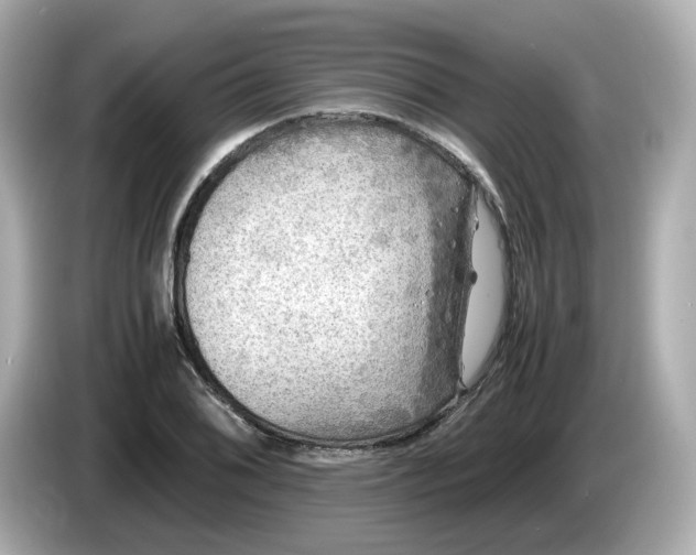 X0000086011076200704091051