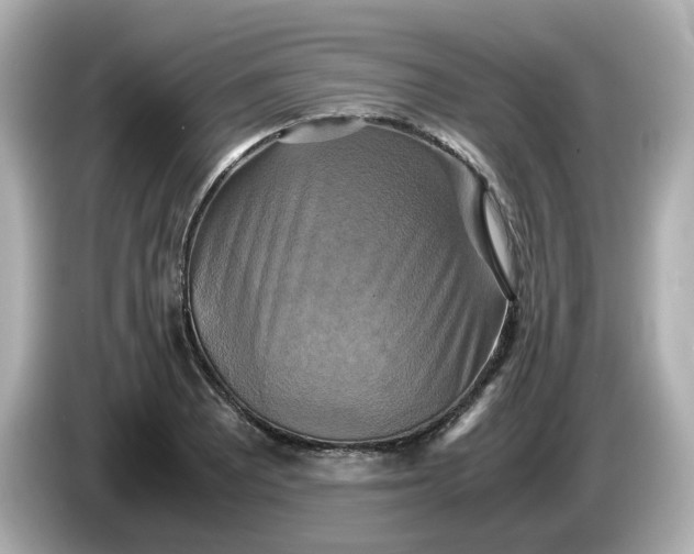 X0000086011081200704091051