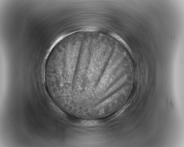 X0000086011083200704091051