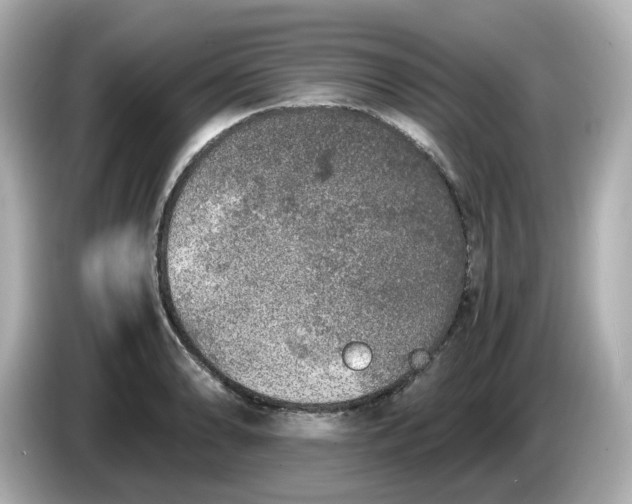X0000086011086200704091051