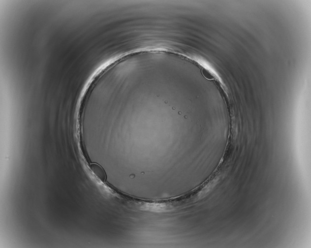 X0000086011088200704091051