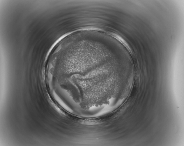 X0000086011092200704091051