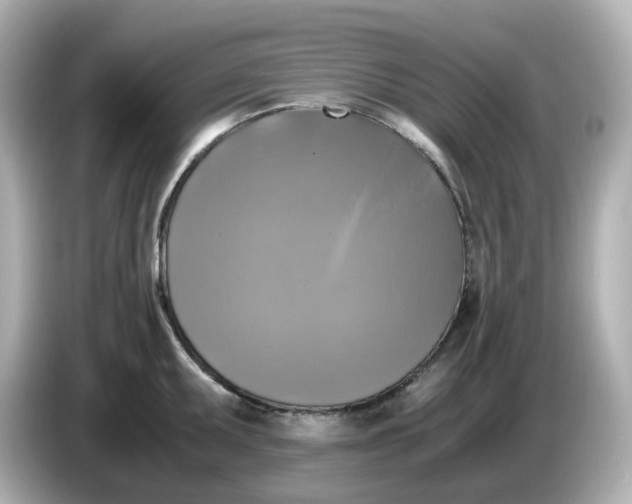 X0000086011095200704091051