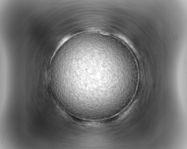 X0000086011097200704091051