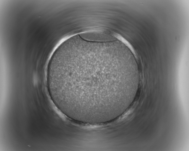 X0000086011099200704091051