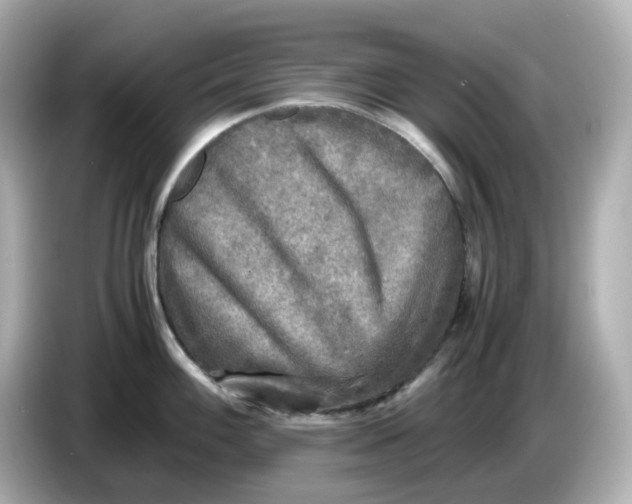 X0000086011100200704091051