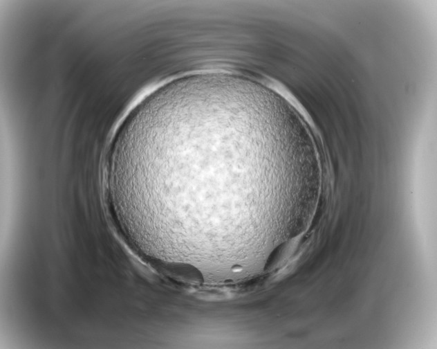 X0000086011101200704091051