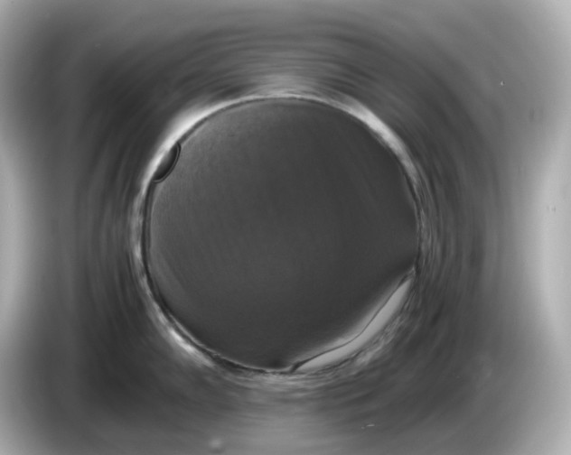 X0000086011102200704091051