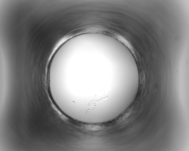 X0000086011103200704091051
