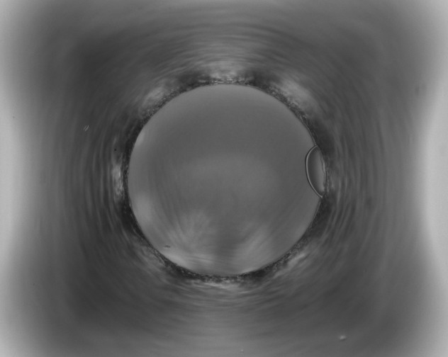 X0000086011106200704091050