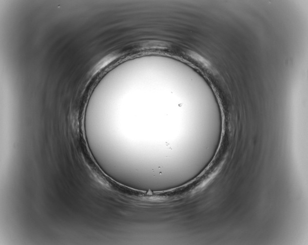 X0000086011113200704091050