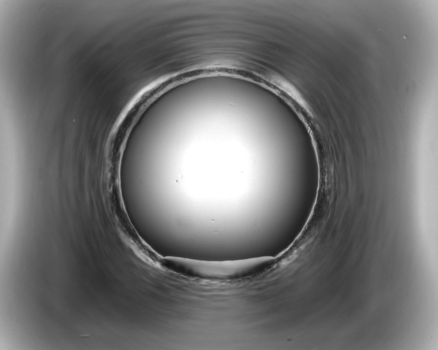 X0000086011116200704091050