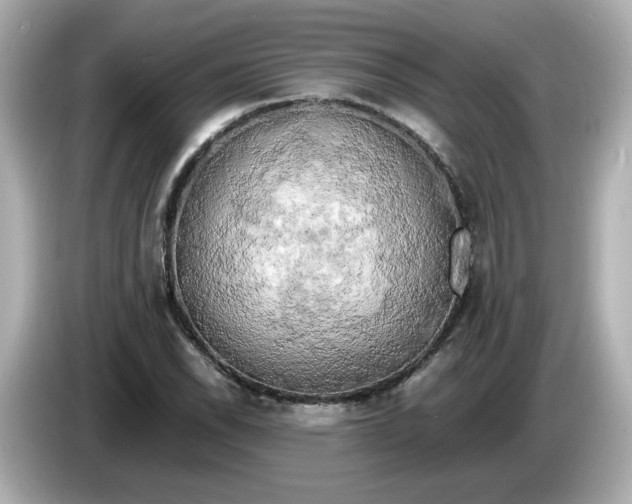 X0000086011118200704091050