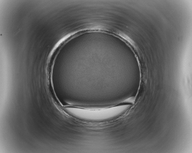 X0000086011120200704091050
