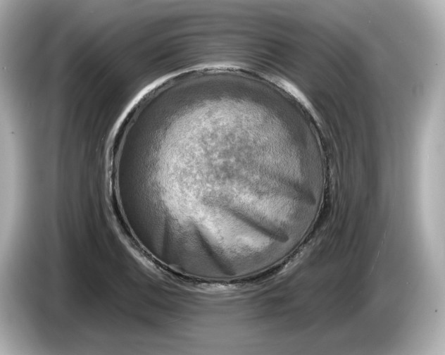 X0000086011124200704091051