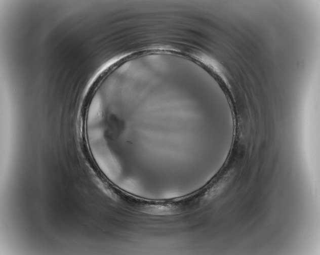 X0000086011125200704091051