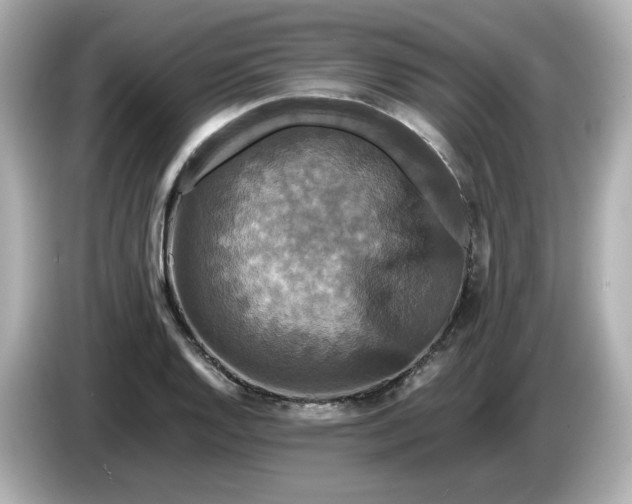 X0000086011128200704091051
