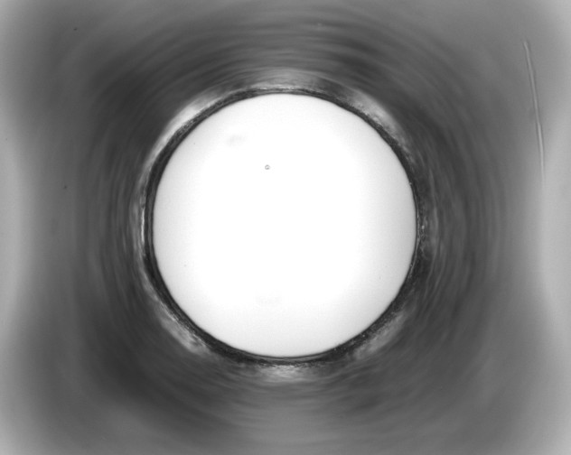 X0000086011130200704091051