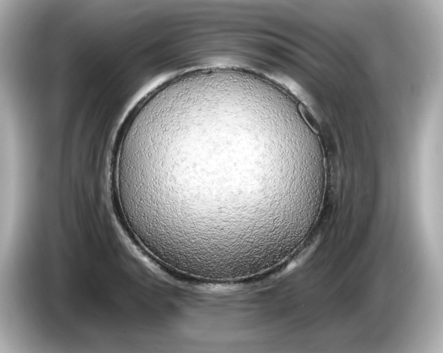 X0000086011134200704091051