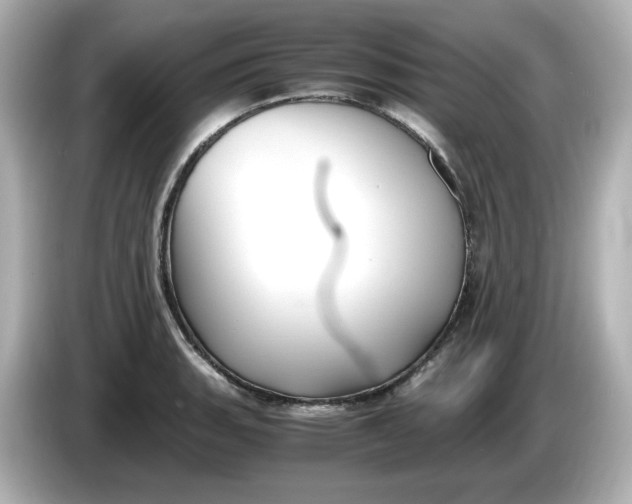 X0000086011135200704091051