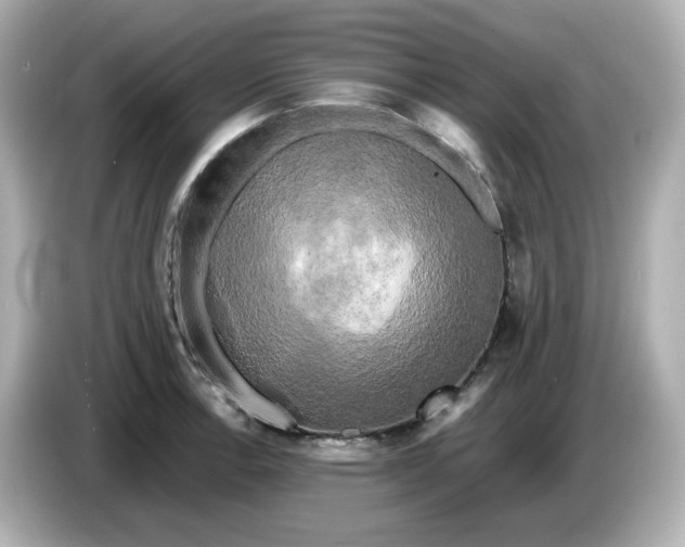 X0000086011138200704091051