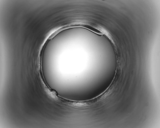 X0000086011140200704091051