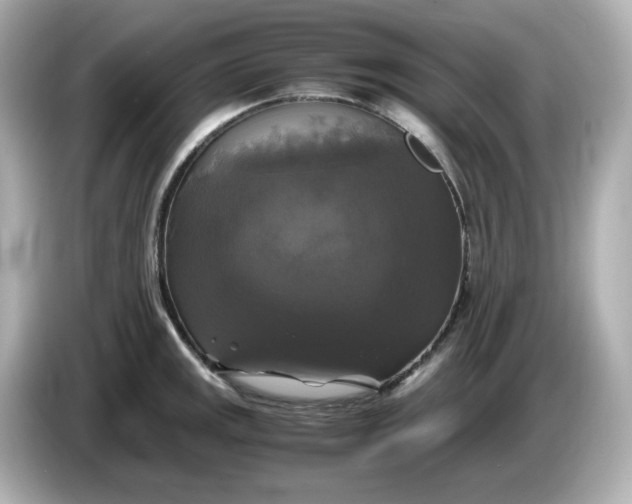 X0000086011141200704091051