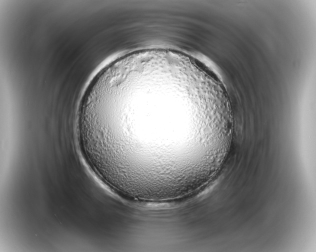 X0000086011142200704091051