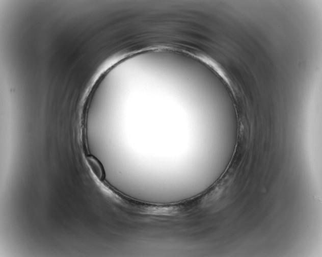 X0000086011143200704091051