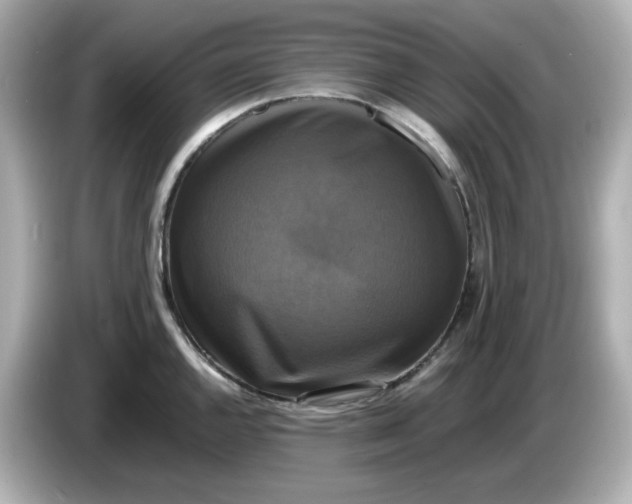 X0000086011144200704091051