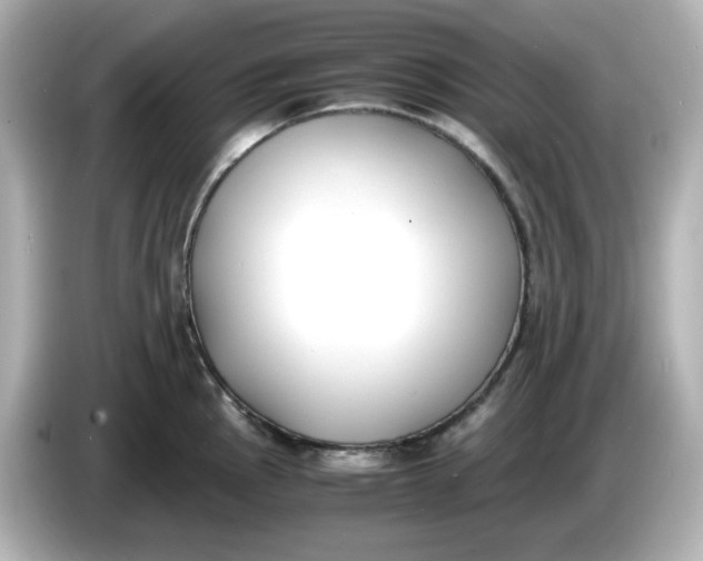 X0000086011145200704091051