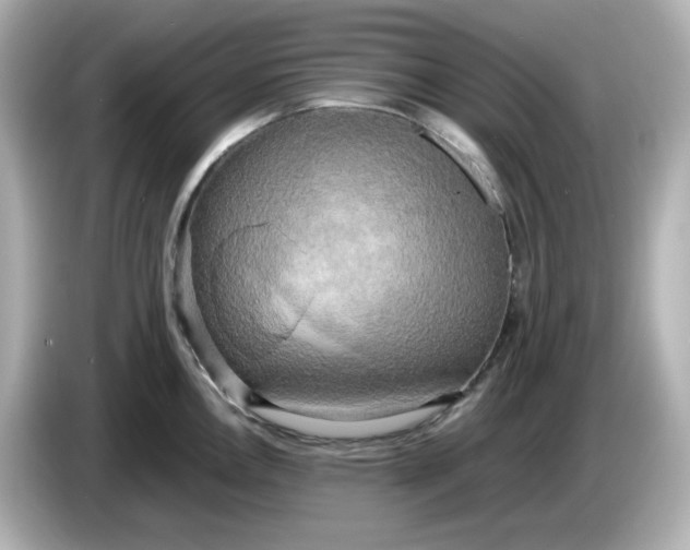 X0000086011146200704091051