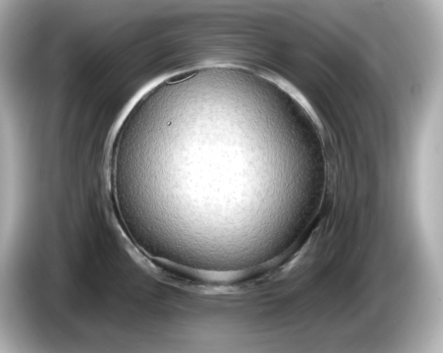 X0000086011148200704091051