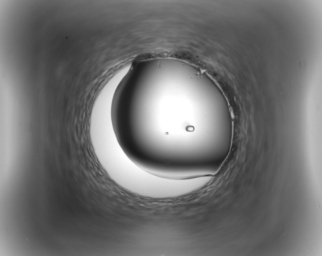 X0000086011157200704091050