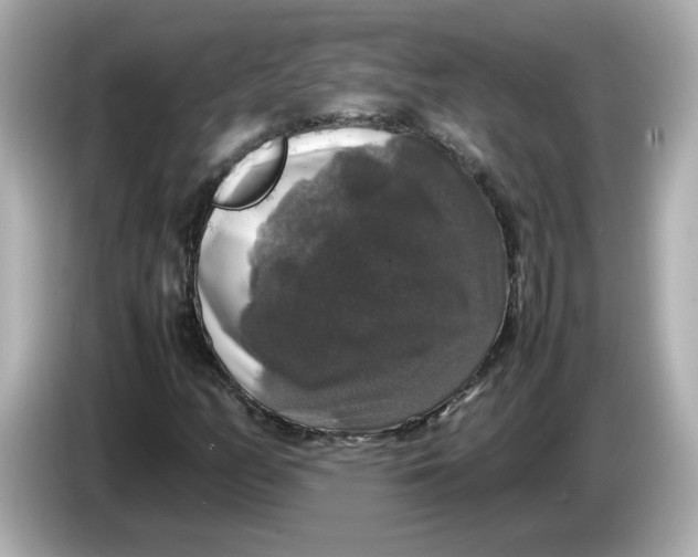 X0000086011158200704091050