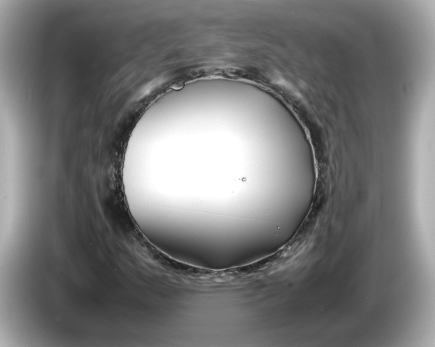 X0000086011159200704091050