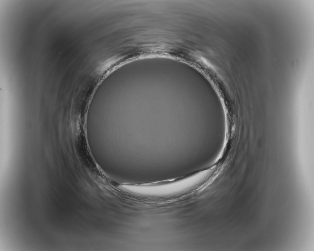 X0000086011161200704091050