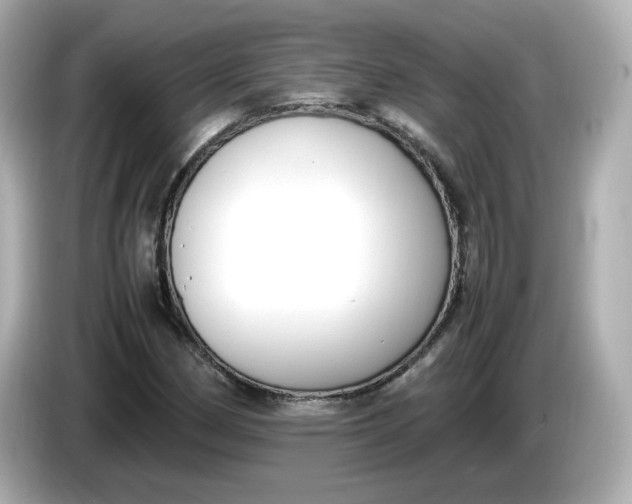 X0000086011162200704091050