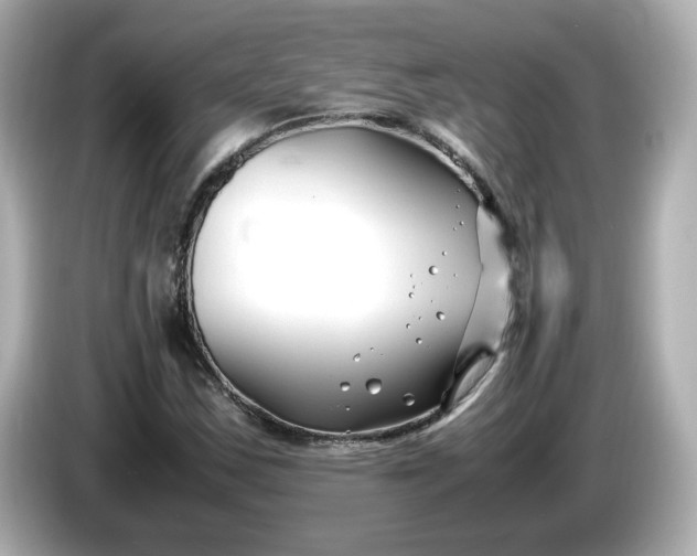 X0000086011163200704091050