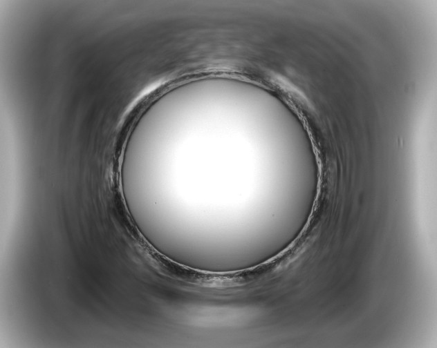 X0000086011166200704091050