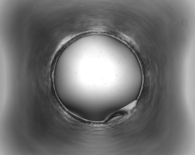 X0000086011168200704091050