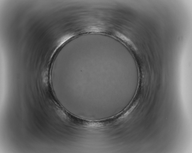 X0000086011170200704091050