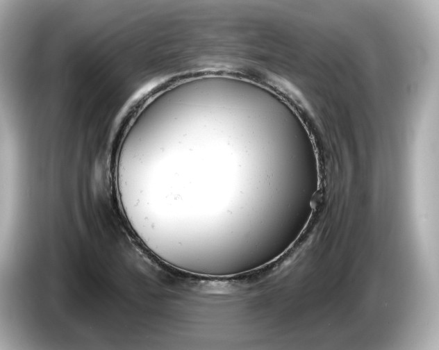 X0000086011172200704091050