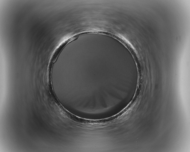 X0000086011173200704091050