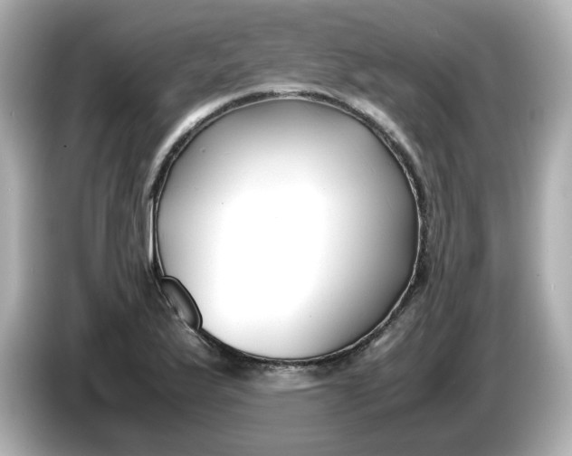 X0000086011175200704091050