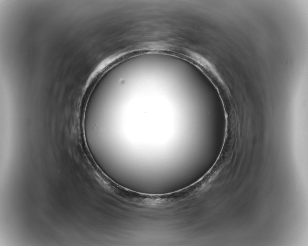 X0000086011176200704091050